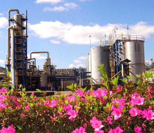 MP acusa ELEKEIROZ de fazer parte do cartel da resina