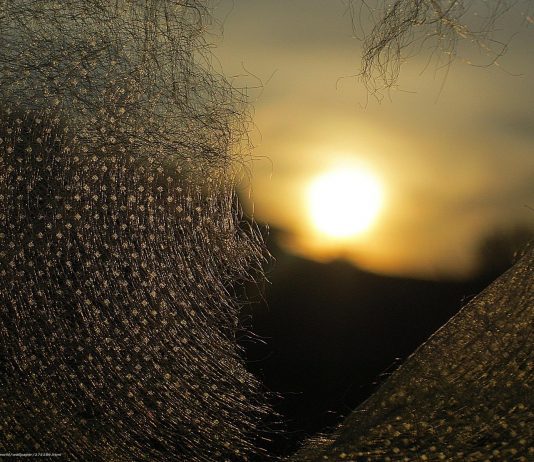 Vivências de costuras de DEUS