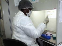 Tese apresentada na USP aborda estudo do ZIKA em Jundiaí ZIKA