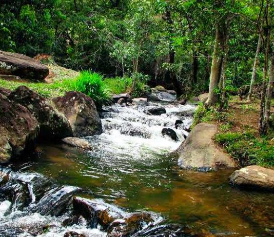 cachoeira dos pretos