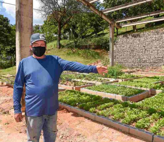 HORTA URBANA