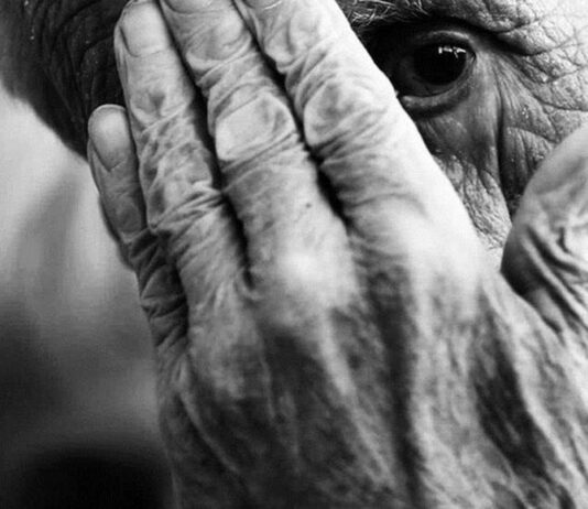 SR. OTAVIANO otaviano