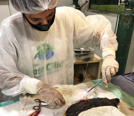 SUPOSTO ERRO gera alerta de fechamento da Mata Ciliar suposto erro