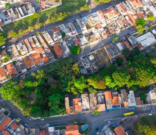 matla atlântica e cerrado