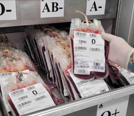 sangue