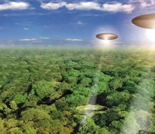 amazônia