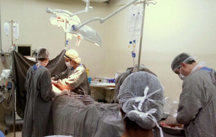 doadores de órgãos