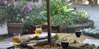 circuito gastronômico