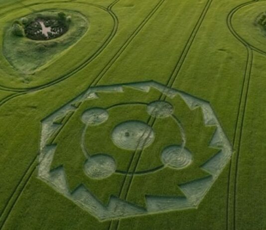 Wiltshire: Segundo AGROGLIFO do ano intriga estudiosos Wiltshire