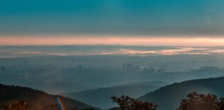 dia mundial do meio ambiente