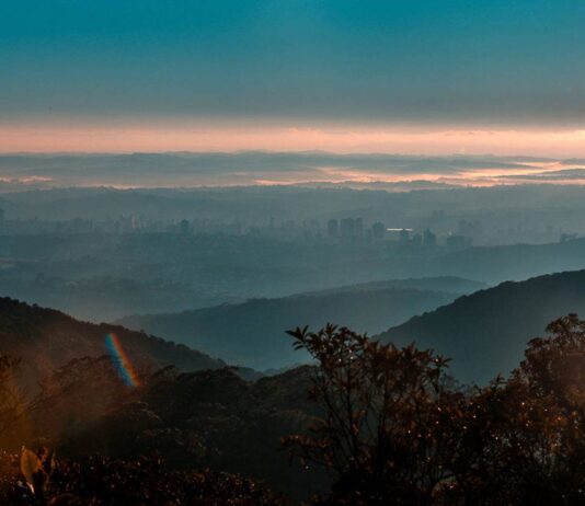 dia mundial do meio ambiente
