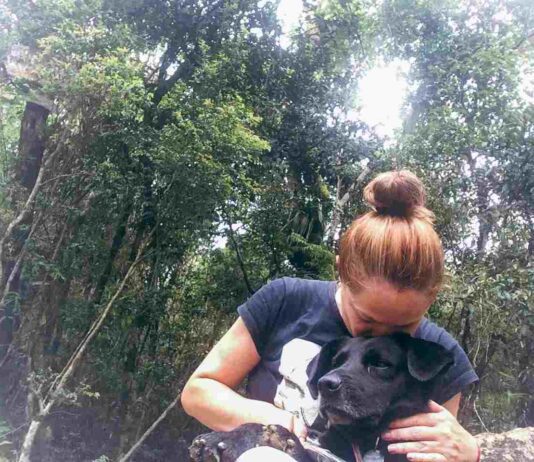 FIM DO CAMINHO DA FÉ(dos ‘avessos’, como diriam os mineiros…) fim do caminho da fé