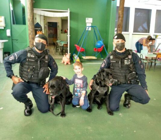 cãoterapia