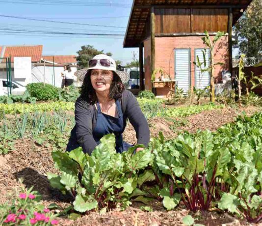 HORTA URBANA do Fazenda Grande faz sucesso entre moradores horta urbana