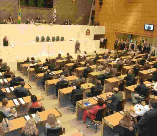 A importância dos DEPUTADOS DEPUTADOS