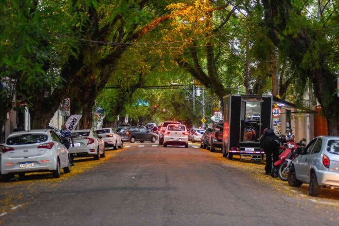 arborização urbana arborização urbana