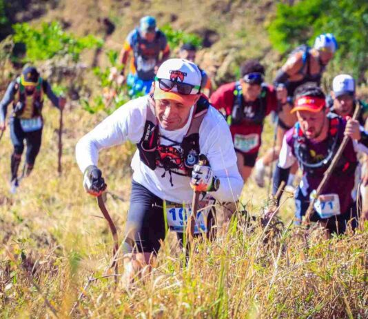 circuito dvr
