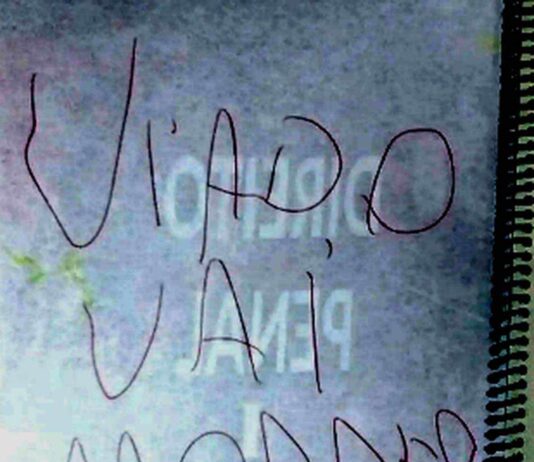 homofobia