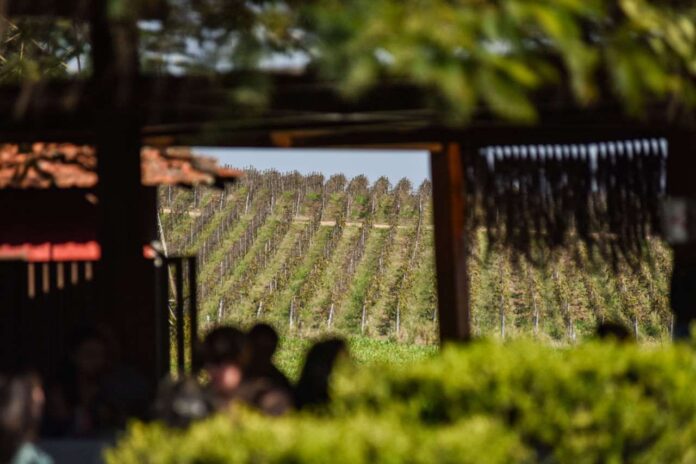 top destinos turísticos