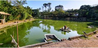 direito