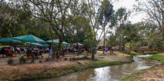 mercado para turismo