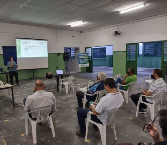 revisão