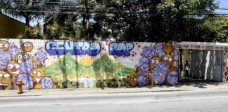 centro pop