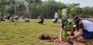 educação ambiental