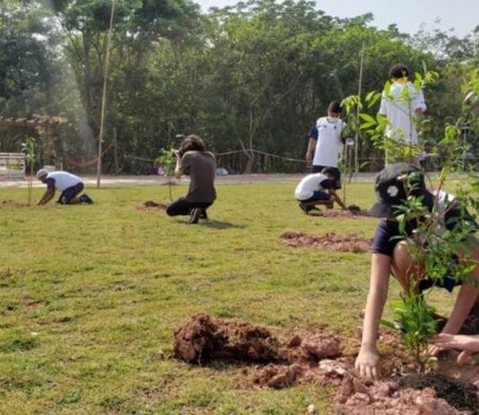 educação ambiental