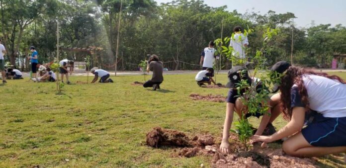 educação ambiental