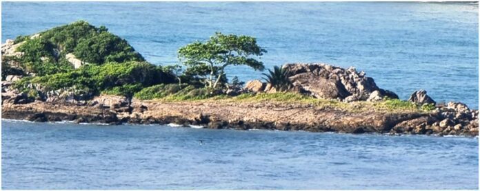 esperança esperança