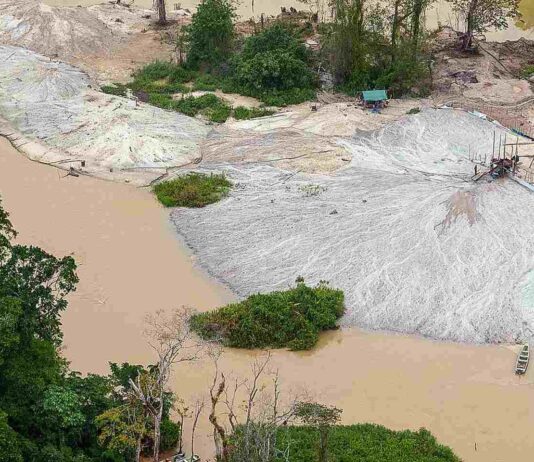 Terra dos ÍNDIOS? índios