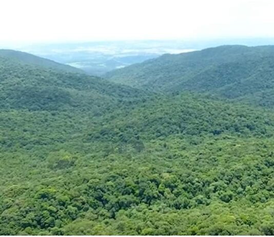 40 anos de TOMBAMENTO: Parabéns, Serra do Japi! tombamento