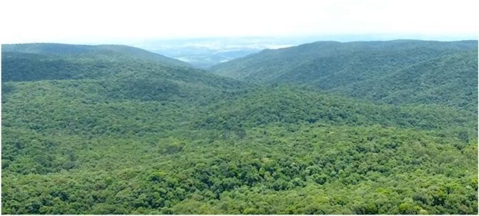 tombamento tombamento