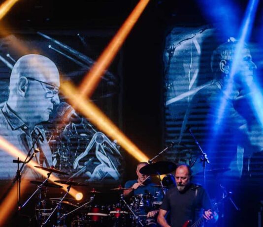 paralamas
