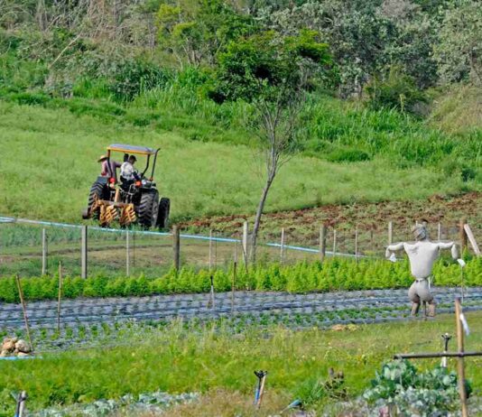 produtores rurais