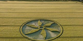 wiltshire