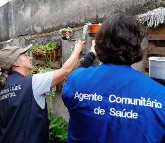 Em cinco meses, Jundiaí registra 517 casos de DENGUE dengue