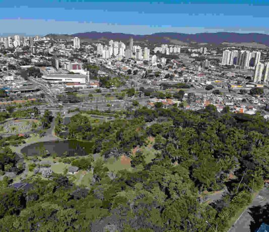 Meio Ambiente: Junho terá diversas ações. Veja programação! meio ambiente