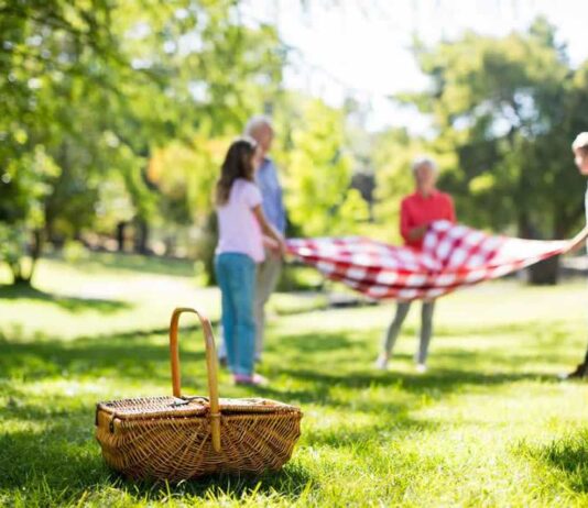 Piquenique raiz: picadas de insetos, roupas sujas, mas felizes… piquenique