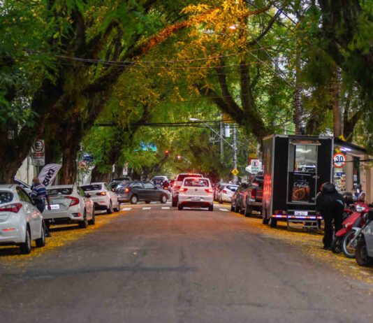 Rua Anchieta: Audiência sobre manejo de ÁRVORES será hoje rua anchieta
