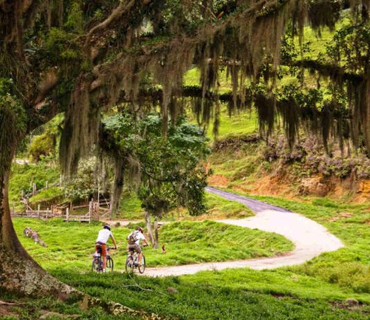 CIRCUITO DAS FRUTAS vai virar marca turística circuito