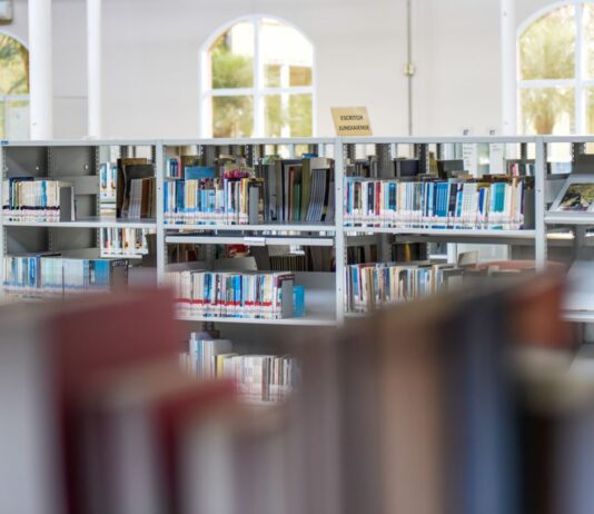 CLUBE DO VINIL será lançado neste sábado, na Biblioteca clube do vinil