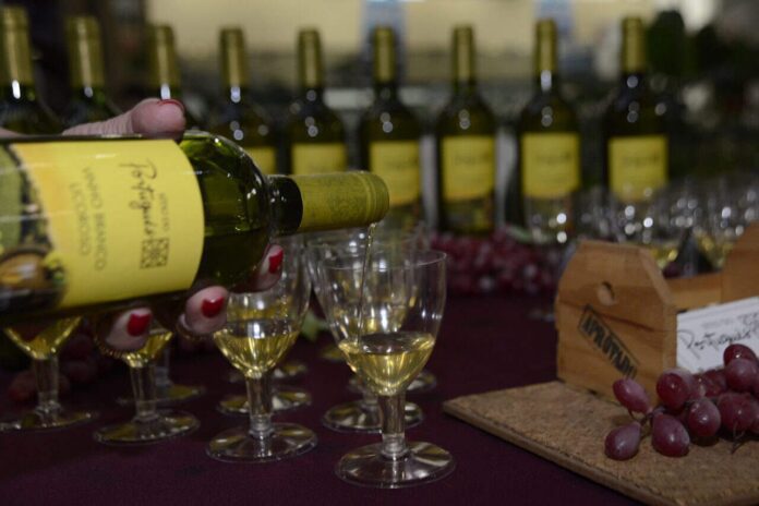 dia do vinho dia do vinho