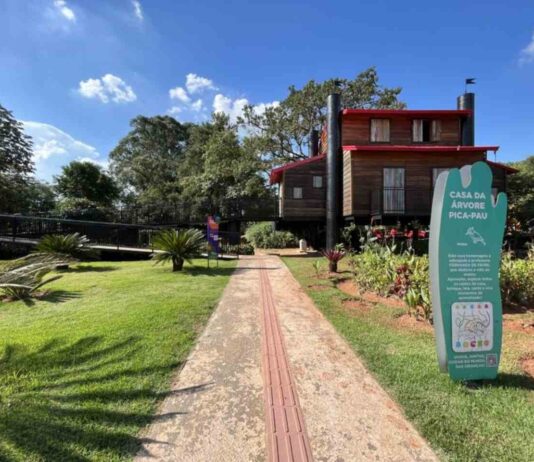 Lazer: Vinho, teatro, Parque da Cidade, Mundo das Crianças vinho