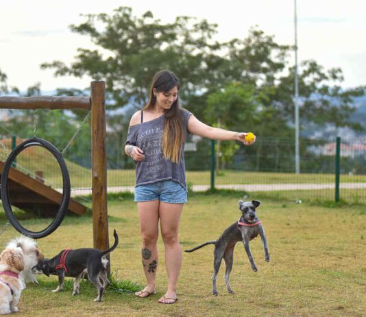 PETS: Projeto libera entrada em parques e centros esportivos pets