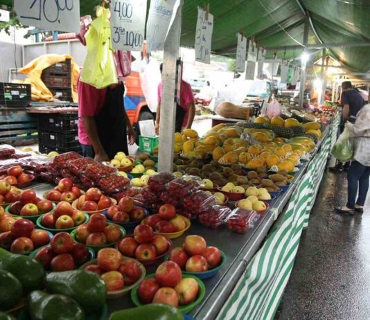 FEIRAS: Prefeitura prepara nova lei feiras