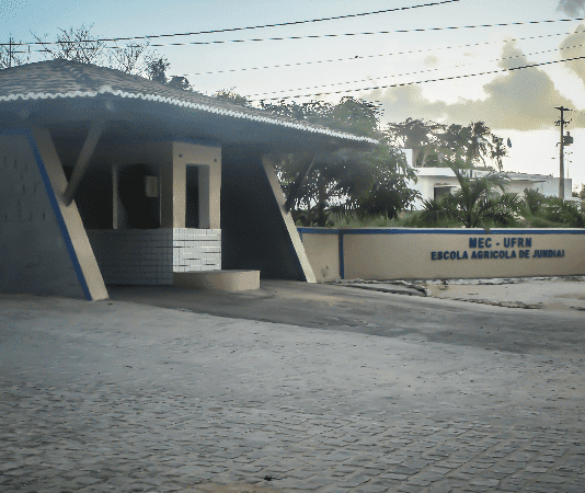 macaíba