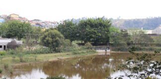 parque do lago