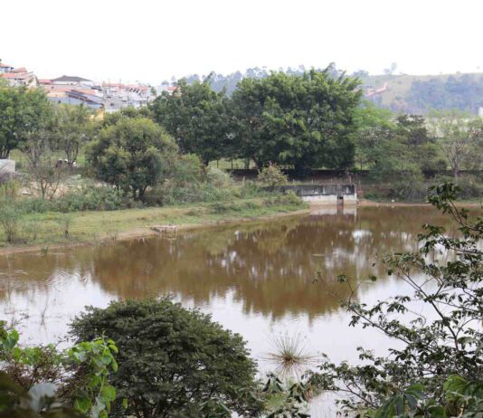 parque do lago
